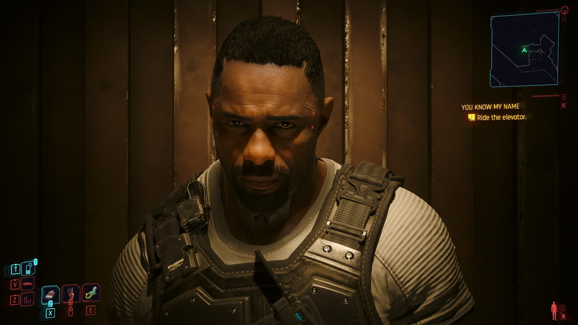 A screenshot of the game Elden Ring